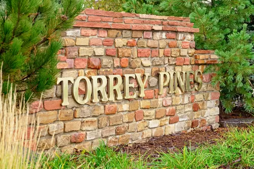 Primary Photo - Torrey Pines