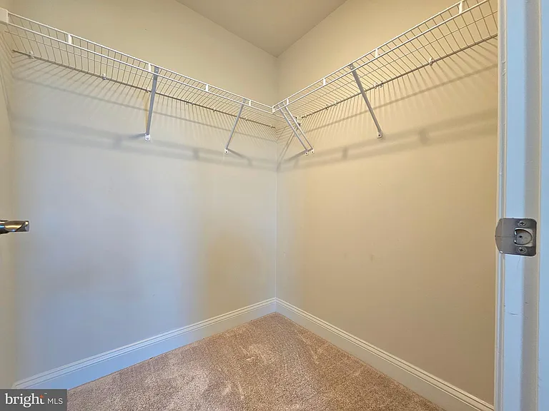 17235 Branched Oak Rd — Photo 4