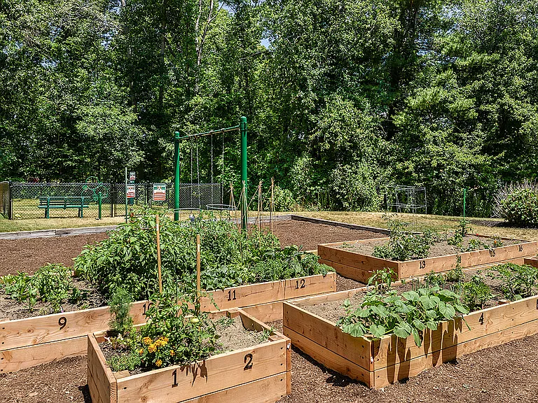 Community Garden
