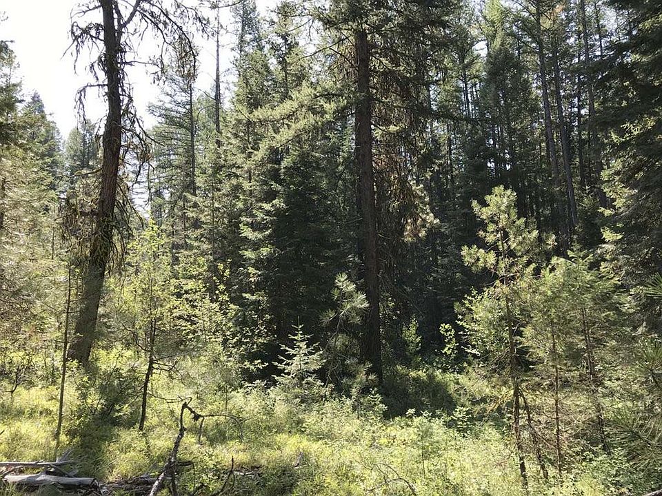 1st image of 146 Mountain Air Dr
