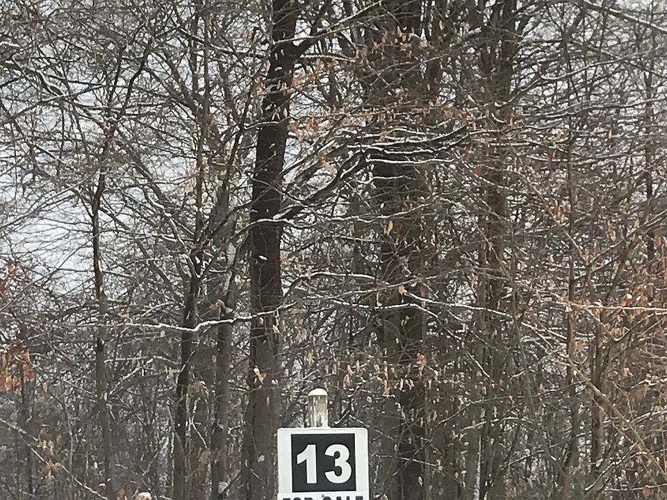 1st image of 7345 Brighton Park Ct