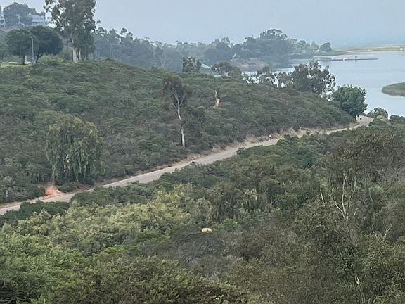 Five mile walk/jog around Lake Miramar.