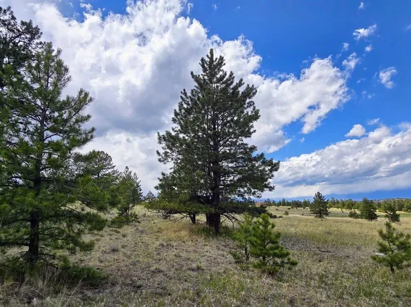 156 Crystal Falls Dr, Westcliffe, CO 81252