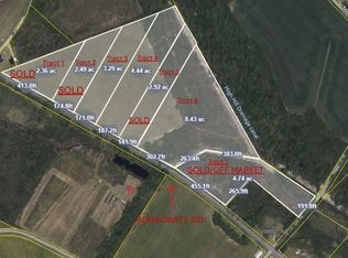 TRACT 3 Borkowitz Rd, Scranton, SC 29591
