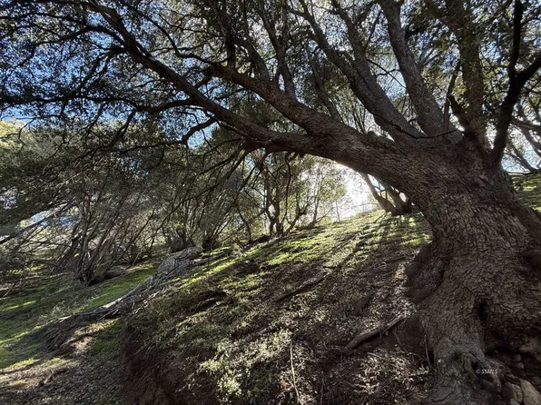 School St, Caliente, CA 93518