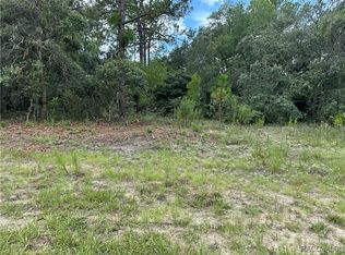 1282 W Hampshire Blvd, Citrus Springs, FL 34434