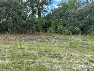1282 W Hampshire Blvd, Citrus Springs, FL, 34434