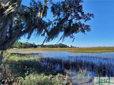 6 Highwater Ct, Savannah, GA, 31410