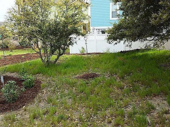 5th image of 877 Amber Ct