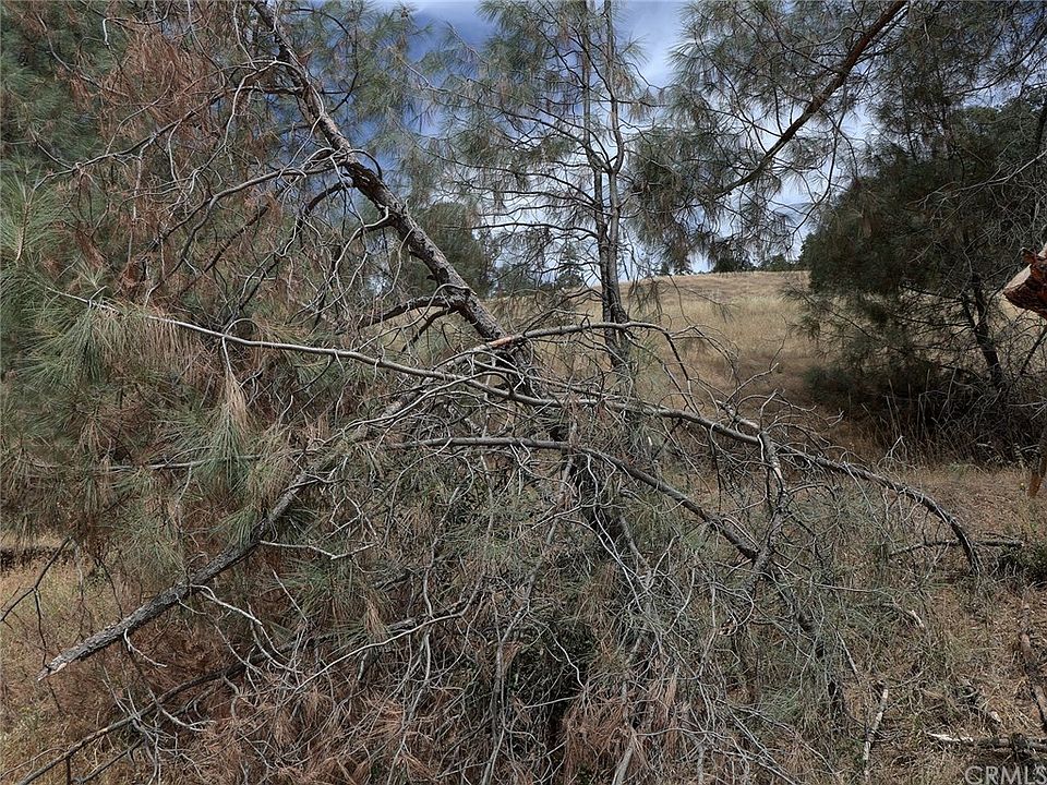 2nd image of 6987 Leslie Rd