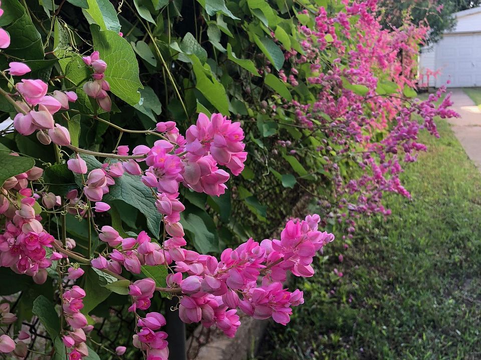 Beautiful Landscaping all around the property.