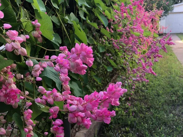 3415 Avenue P, Galveston, TX 77550