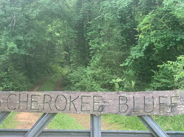 9197 Fm 2454, Gilmer, TX 75644