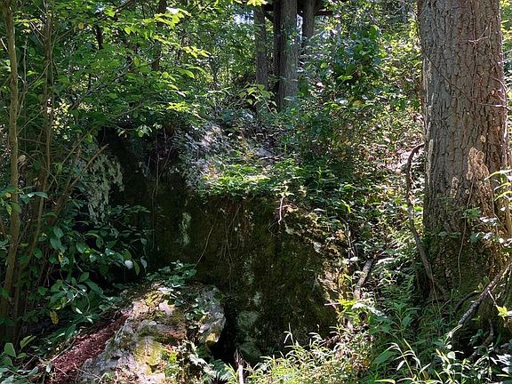 4th image of Coon Club Rd