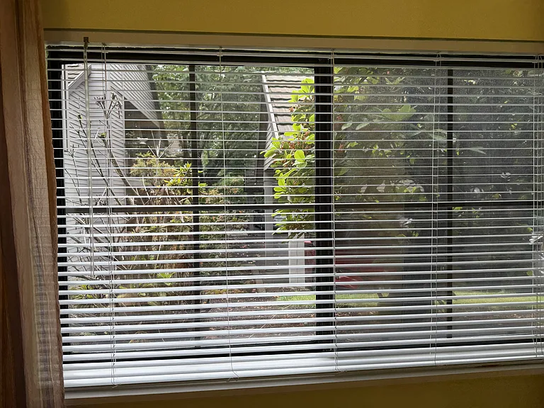 4000 Carman Dr #6 — Photo 39
