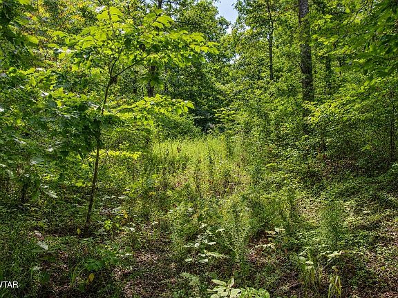 3rd image of 1124 Lick Creek Boat Dock Loop
