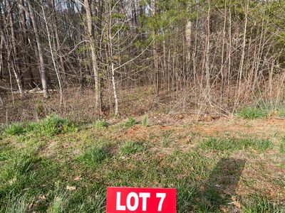 LOT 7 Belvior Cir, Moneta, VA, 24121