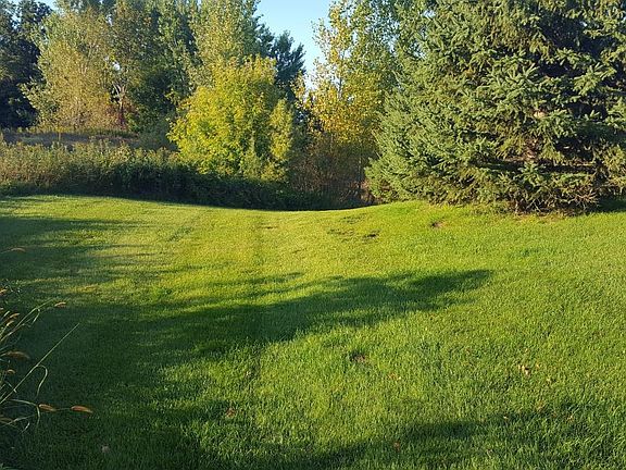 outside yard 2