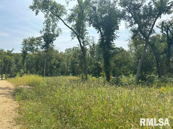 LOT 1 225th St, De Witt, IA 52742