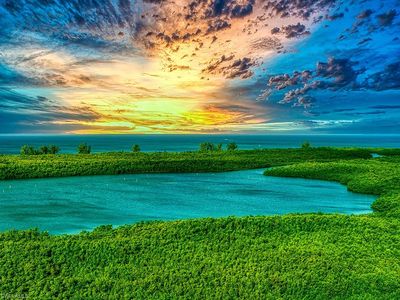 265 Indies Way APT 1602, Naples, FL, 34110