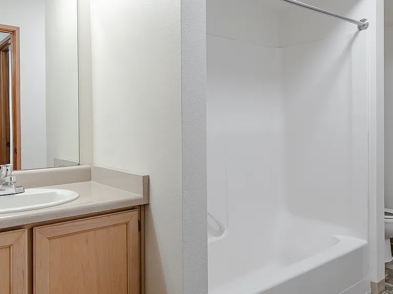 1 BR Bathroom