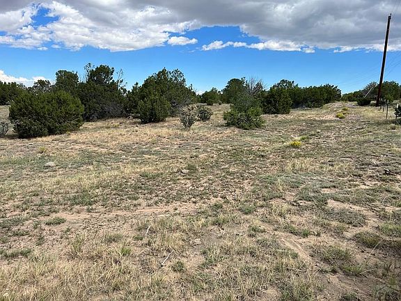 5th image of LOT 82 County Road 340