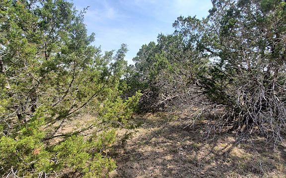 5th image of 421 Eagle Ln