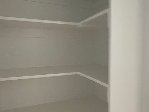 Big Walk-in Pantry