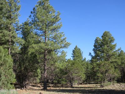 108 Lone Horseman, Lakeside, AZ, 85929