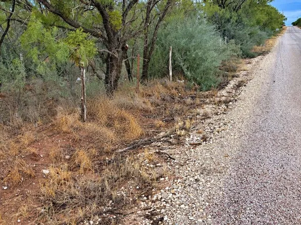 County Road 107, Trent, TX 79561