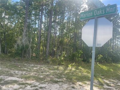 Marion Oaks Mnr LOT 1, Ocala, FL, 34473
