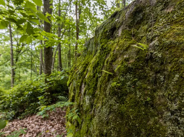 0 Bridal Veil Rte Lot 9, Monteagle, TN 37356