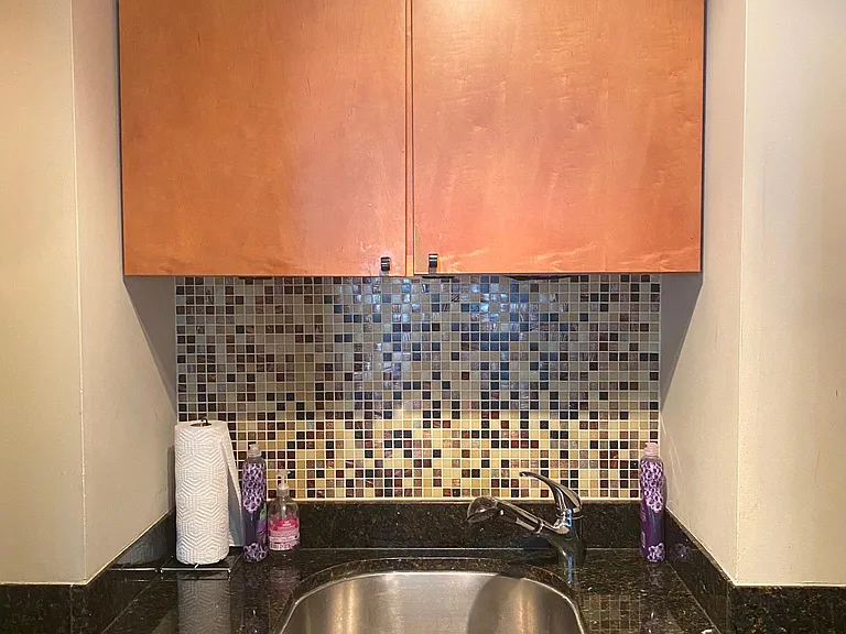 21 W Goethe St #16B — Photo 13
