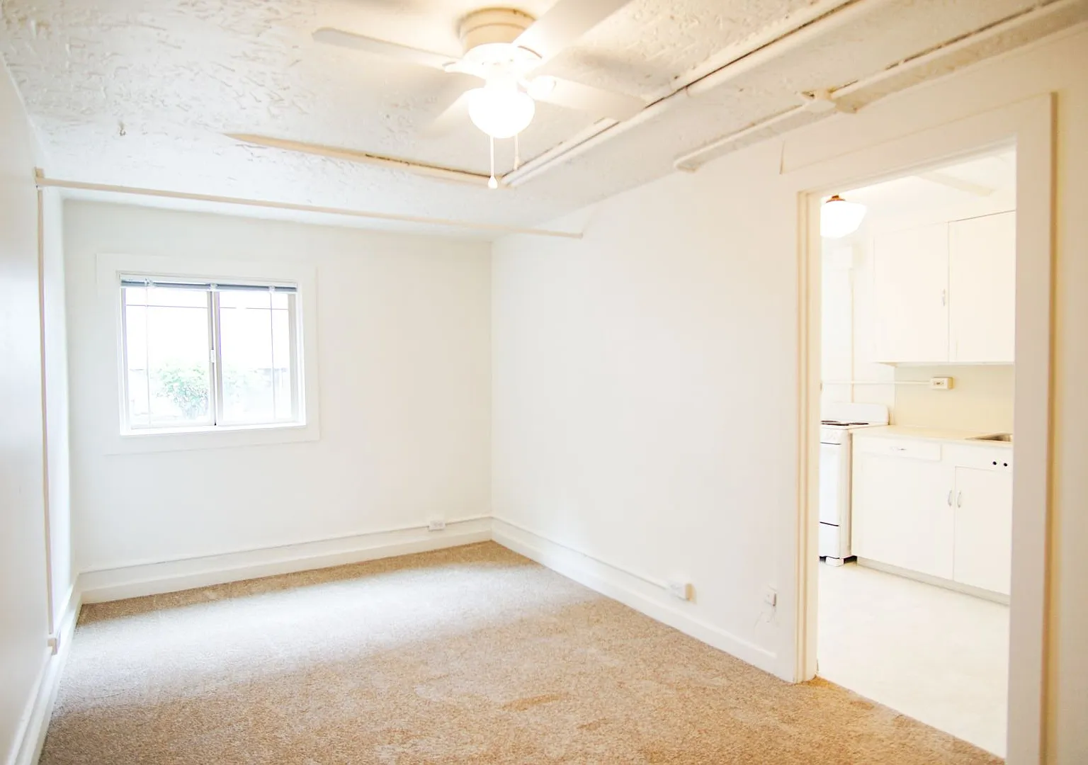 Close-in NE Daylight Basement Studio Ready Now! — Photo 3