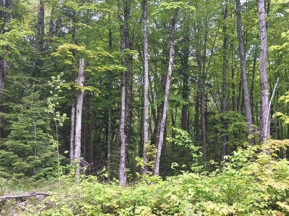 On Hewitt Ln Lot 49, Hurley, WI 54534