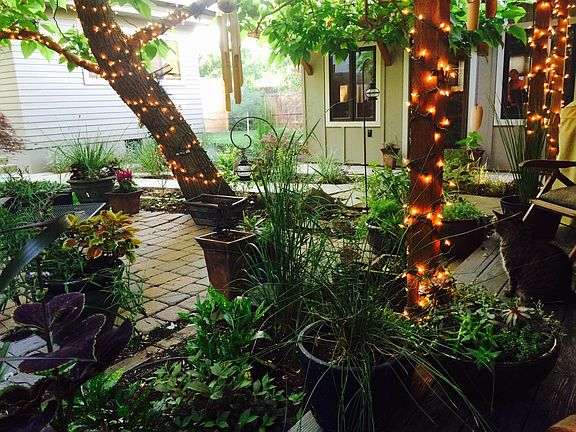 Patio and studio space