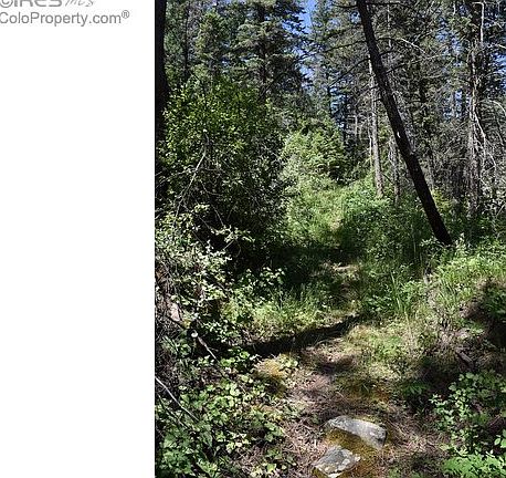 Many Springs on Property