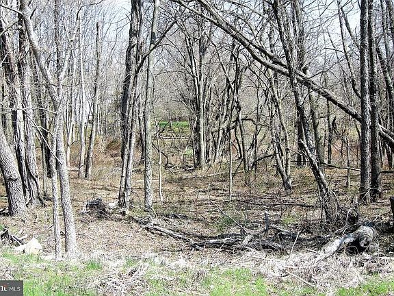 5th image of 501 Thoroughbred Dr