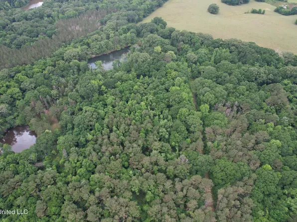 Westbrook And Bend Rd, Vaughan, MS 39179