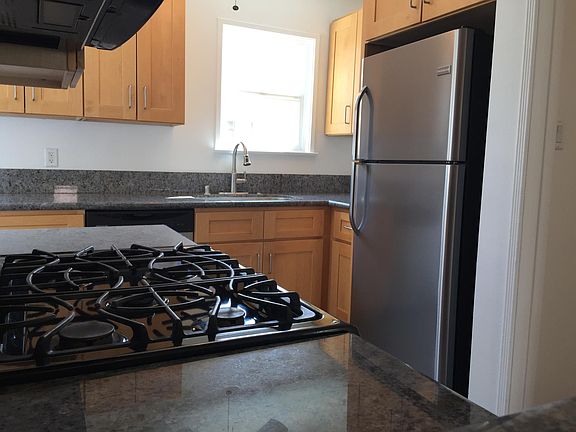 Stainless steel fridge, dishwasher and gas stove