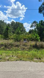 817 Lincoln Ave, Lehigh Acres, FL, 33972