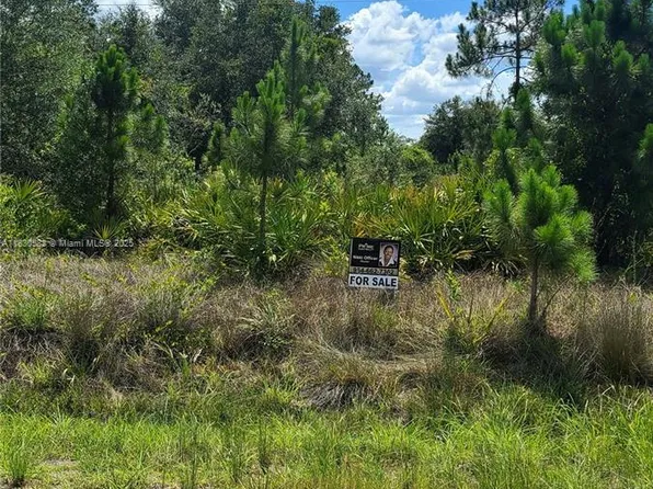 817 Lincoln Ave, Lehigh Acres, FL 33972