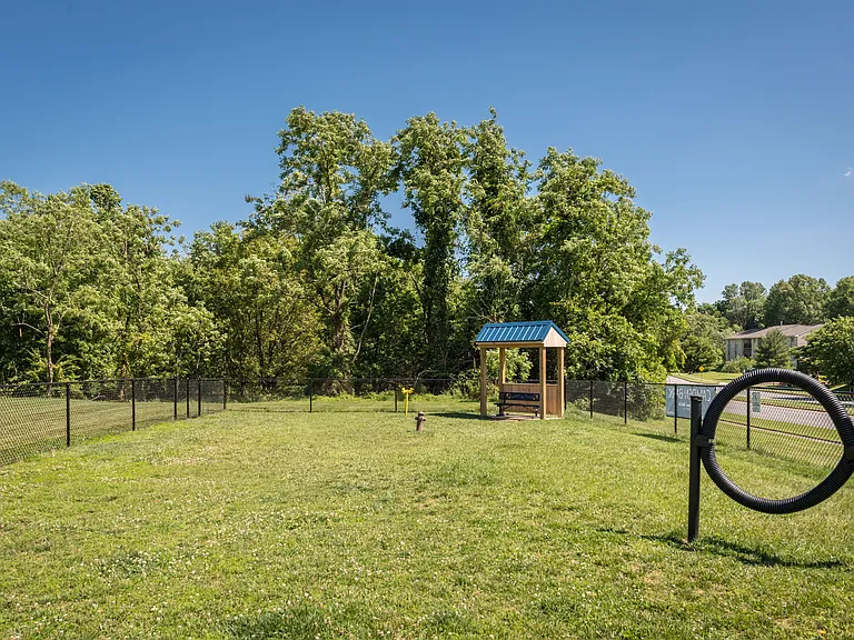 Bark Park