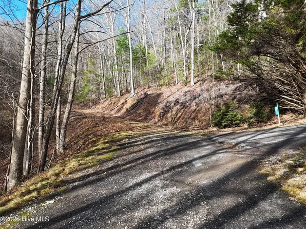 A-14 Park Hill Avenue LOT A14, Blairsville, GA 30512