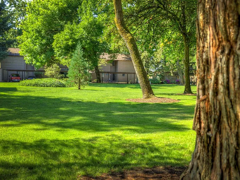 Delta Grove — Photo 15