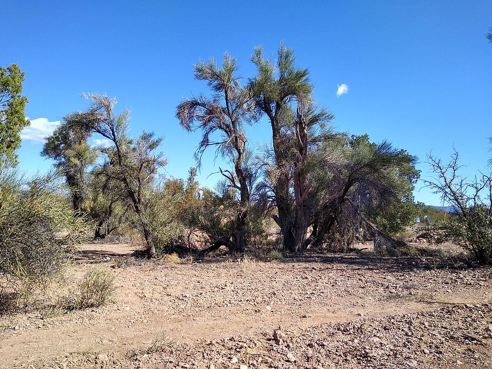 1st image of 3045 N Padre Kino Trl