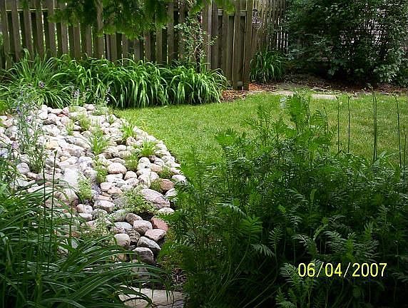 Dry River Bed, Side Yard