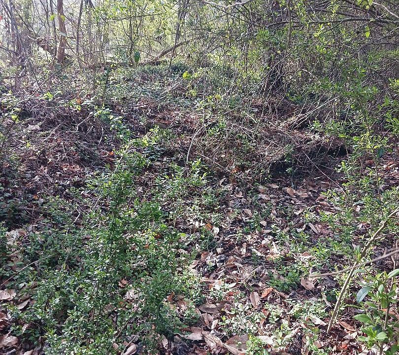 1st image of 000 158 Lane