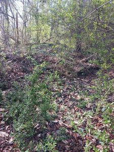 000 158 Lane, Dunnellon, FL, 34432