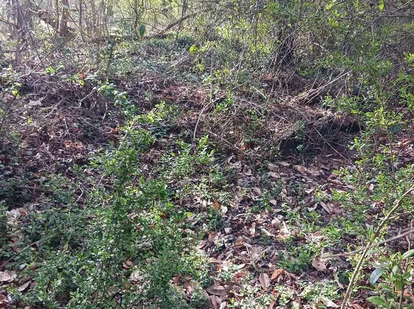 000 158 Lane, Dunnellon, FL 32024